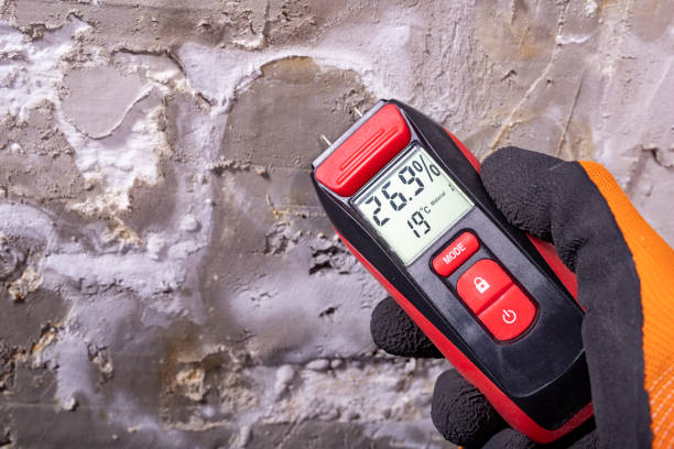 Trusted Malone, FL Mold Removal Experts