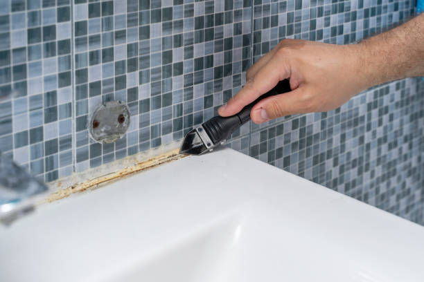 Best Commercial Mold Removal  in Malone, FL
